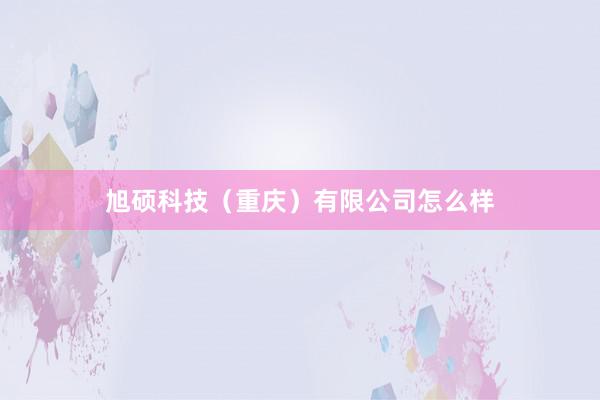 旭硕科技（重庆）有限公司怎么样