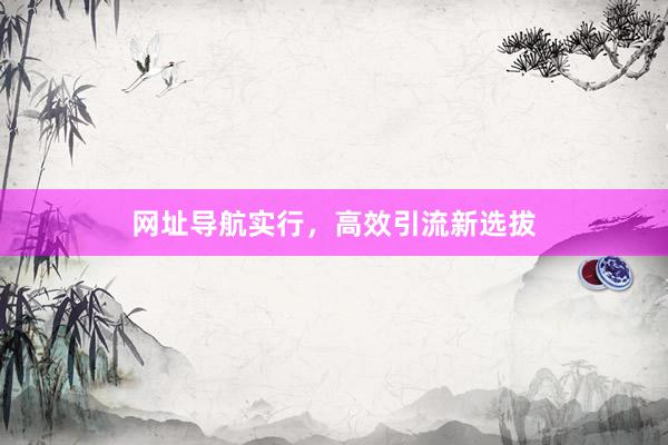网址导航实行，高效引流新选拔